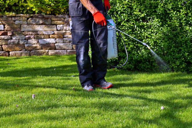 Emergency Pest Control in Munford, TN